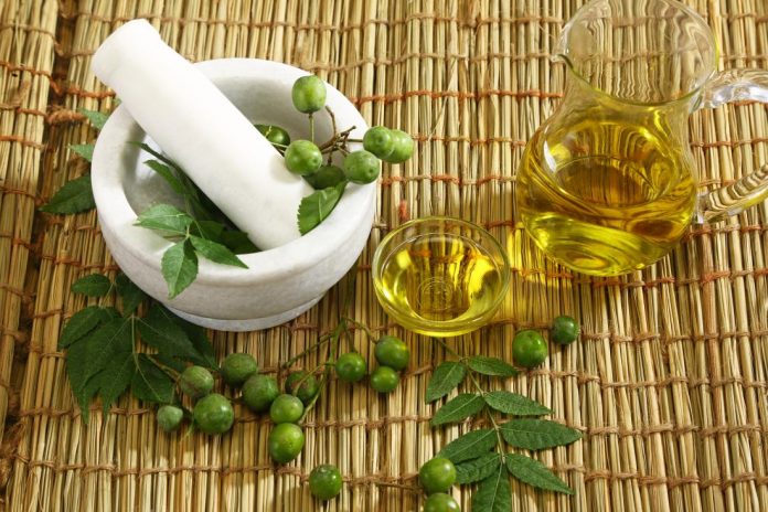 neem-plant