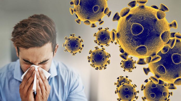 corona virus