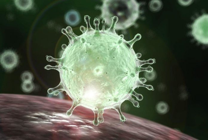 corona virus