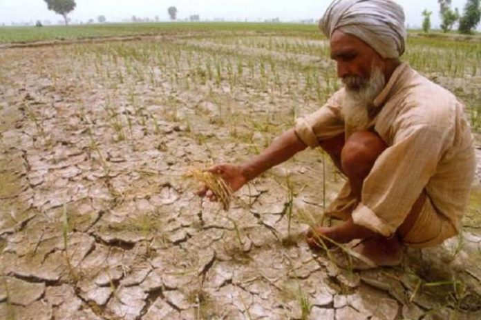 drought