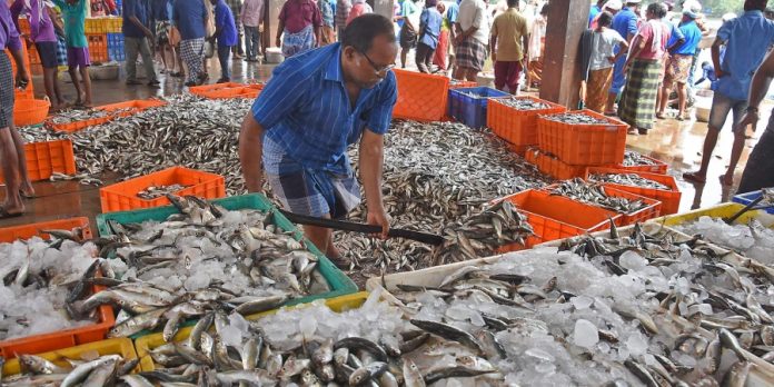 fishmarket