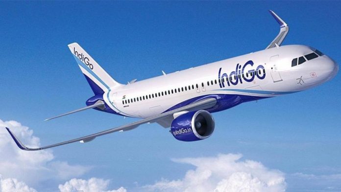 indigo