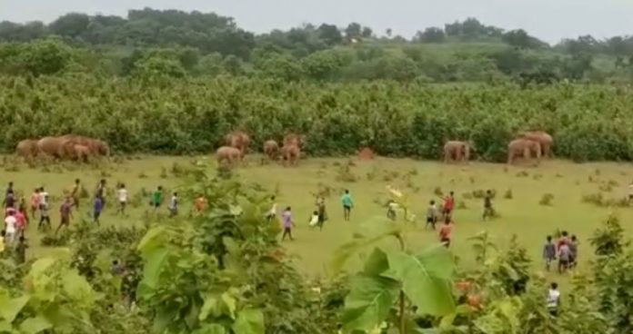 karanjia