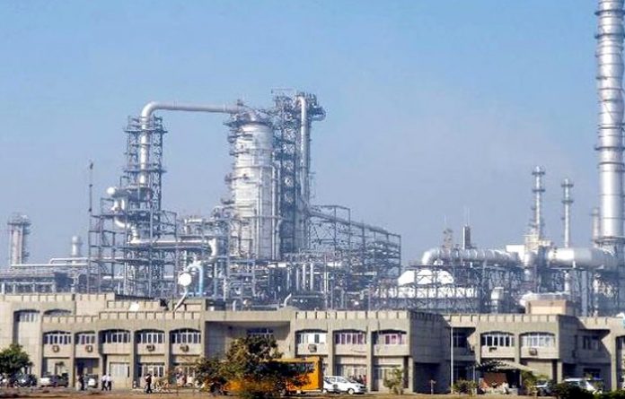 paradip oil