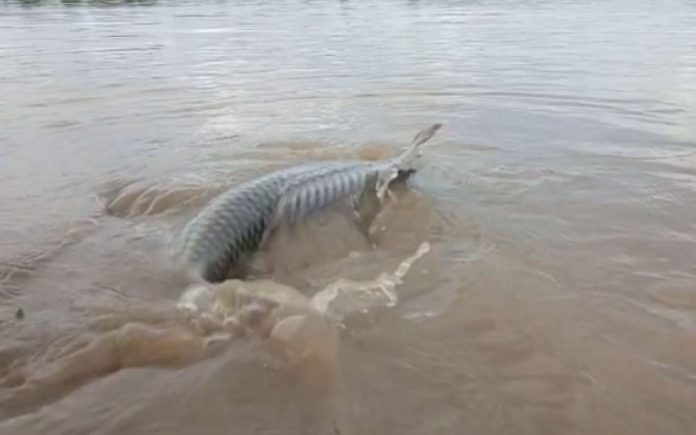 Hirakud
