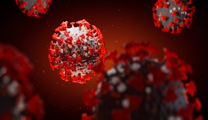 corona virus