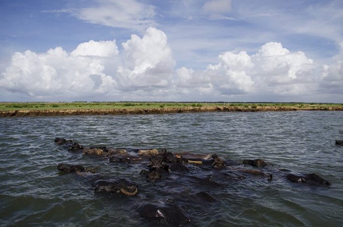 debi river
