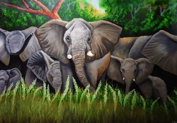 elephant