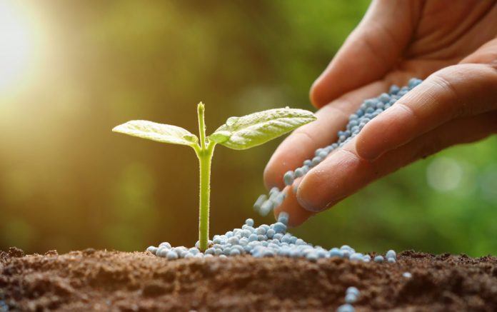 fertilizers