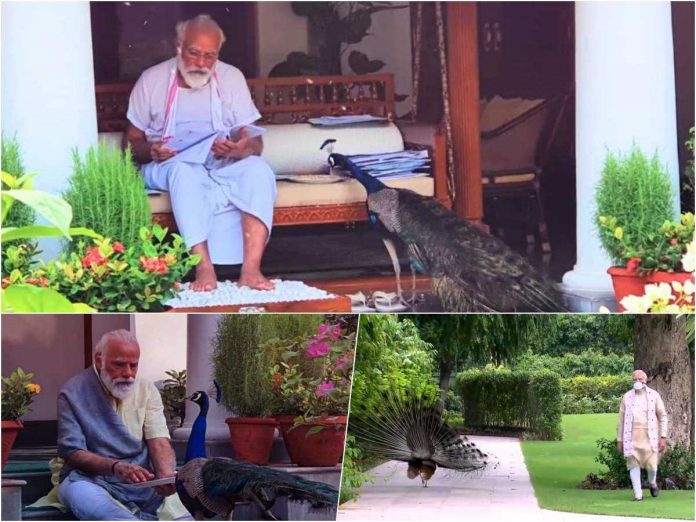 narendra modi