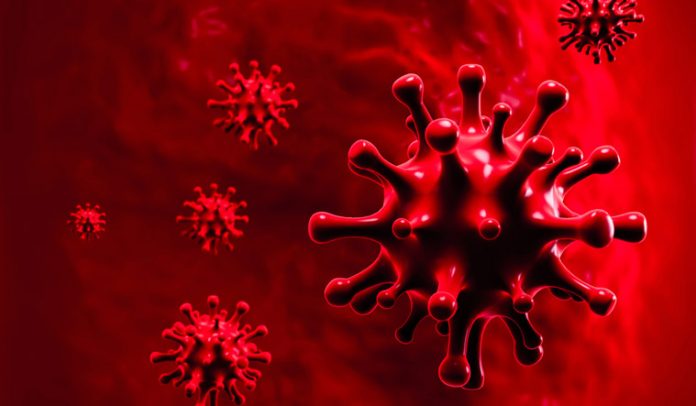 virus