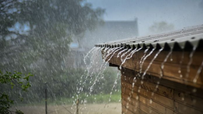 Rain