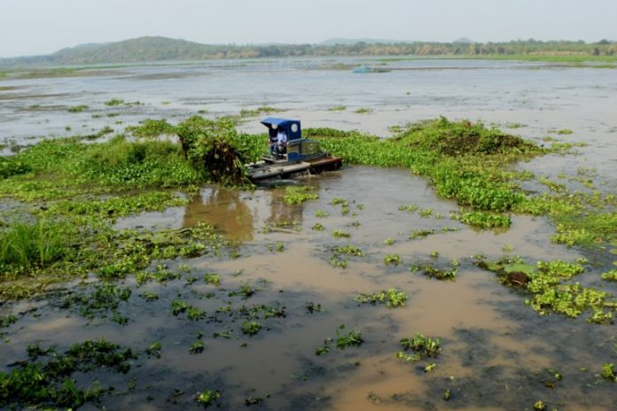 anshupa
