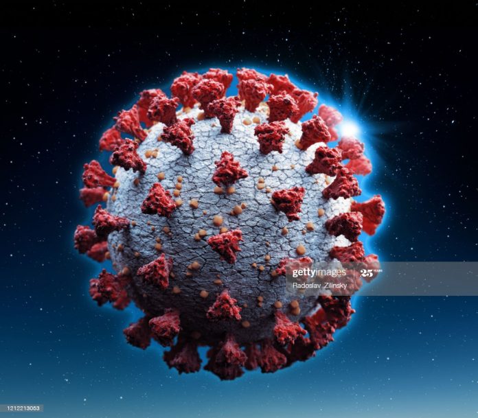 Corona virus