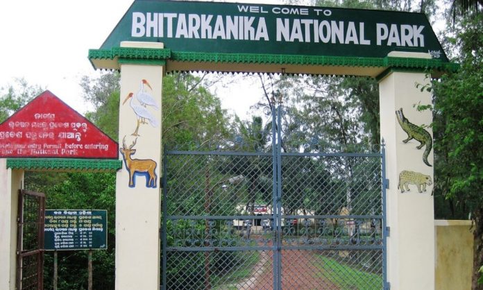 bhitarakanika