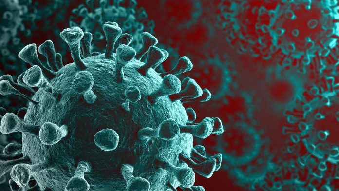 corona virus