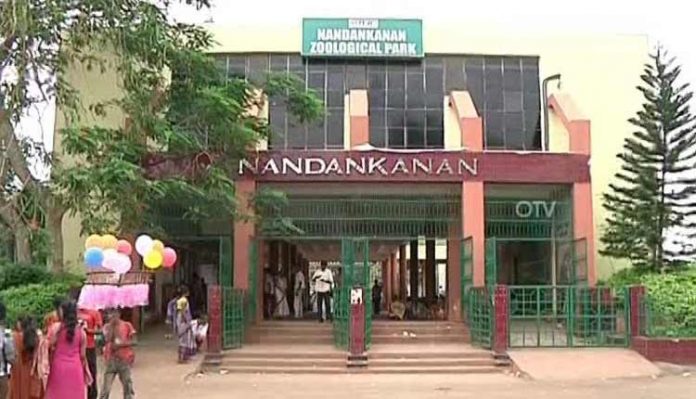 nandankanan-