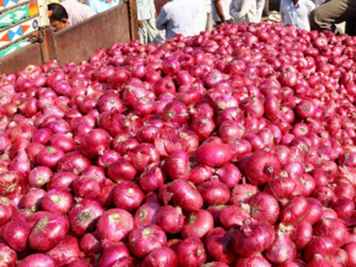 onion