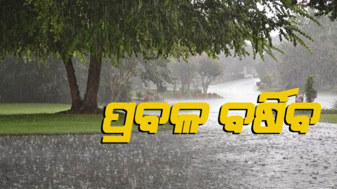 rain