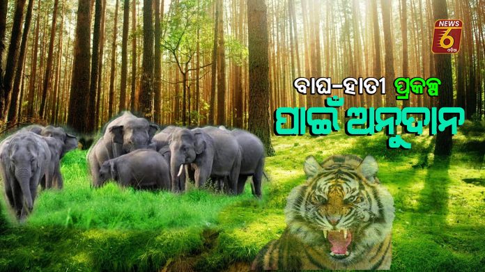 tiger-elephant