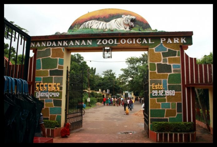 Nandankannan