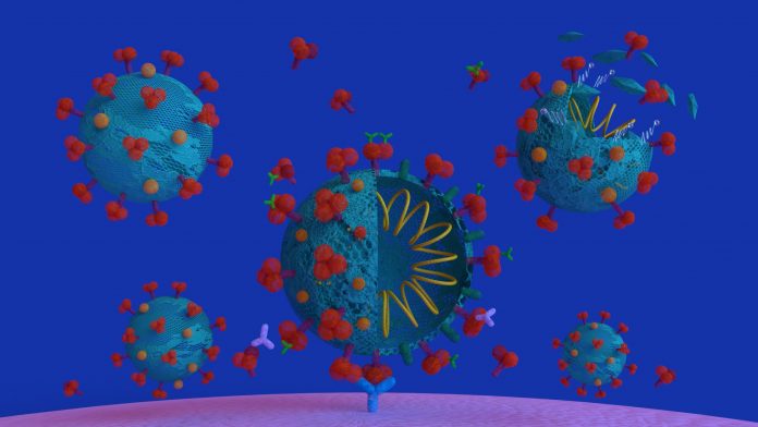coronavirus_