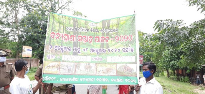 mayurbhanj