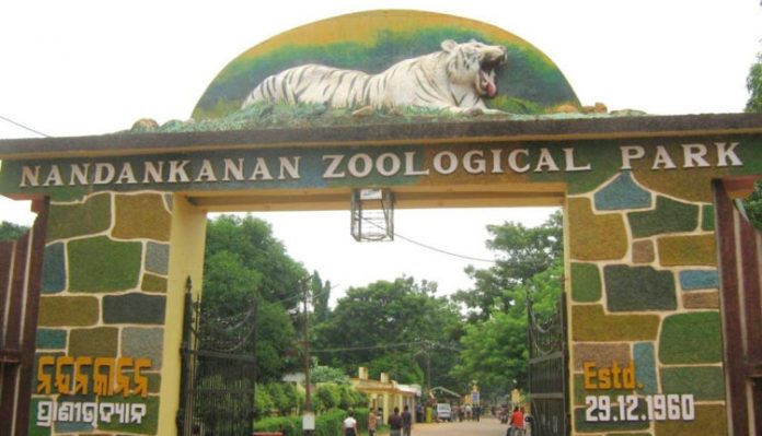 nandankana