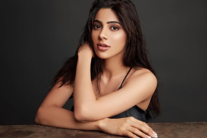 niki bigboss
