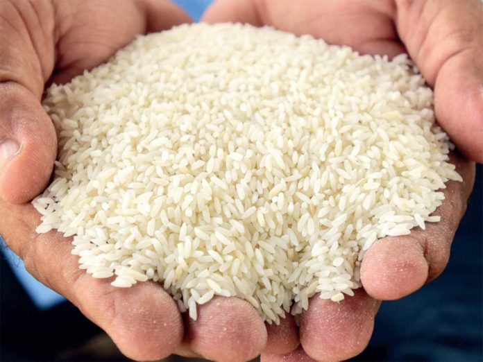 rice