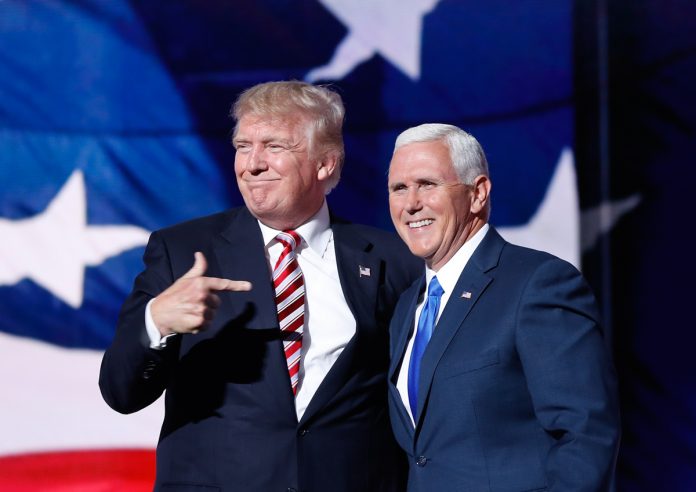 vice president
