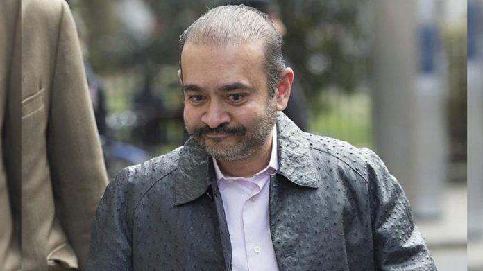 nirab modi